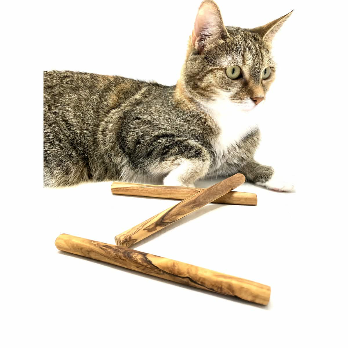 Olive Wood Chew Sticks for Small Dogs and Cats – Set of 3