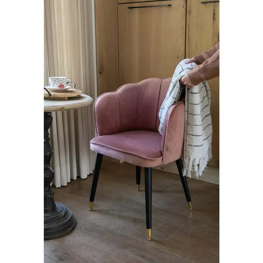 Elegant Shell Chair – Pink Velvet with Modern Metal Legs (59x62x79 cm)